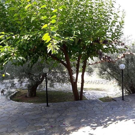 Σπίτι Σε Ελαιώνα, House In An Olive Grove Appartement Ária Buitenkant foto