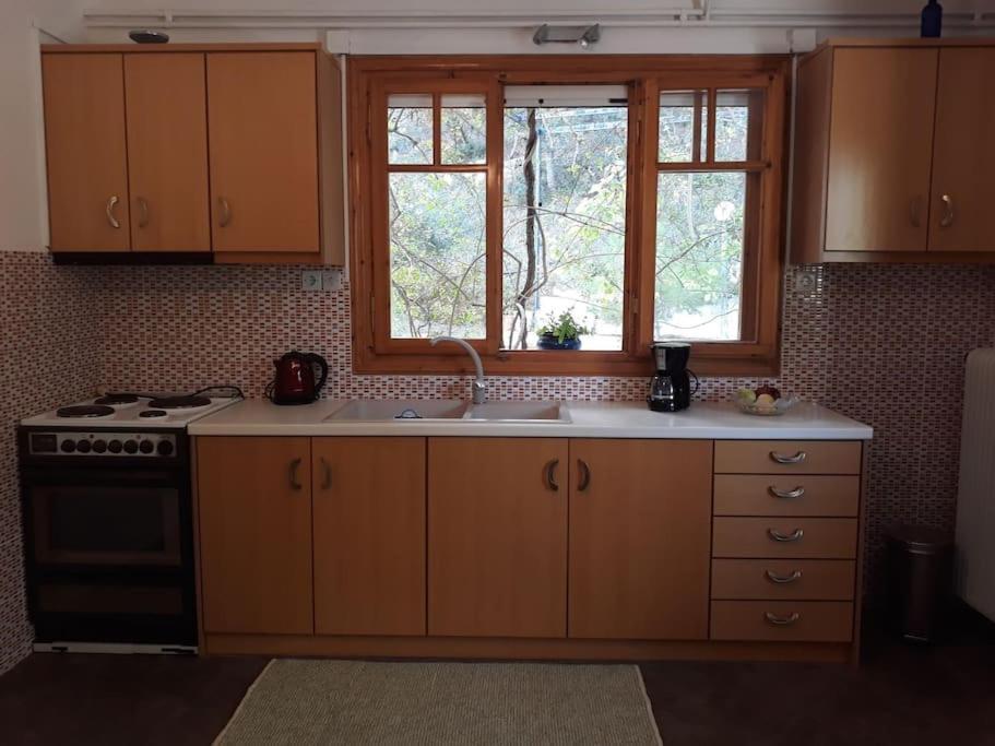 Σπίτι Σε Ελαιώνα, House In An Olive Grove Appartement Ária Buitenkant foto