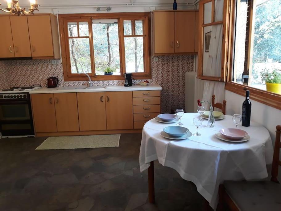 Σπίτι Σε Ελαιώνα, House In An Olive Grove Appartement Ária Buitenkant foto