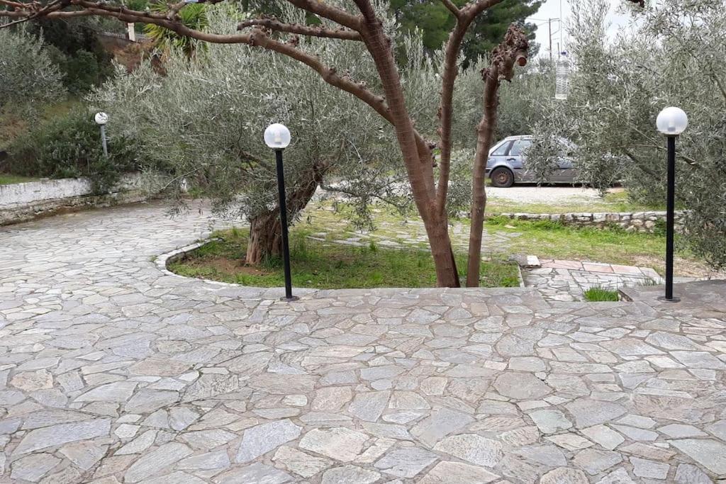 Σπίτι Σε Ελαιώνα, House In An Olive Grove Appartement Ária Buitenkant foto