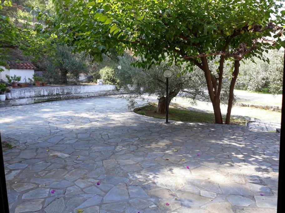 Σπίτι Σε Ελαιώνα, House In An Olive Grove Appartement Ária Buitenkant foto