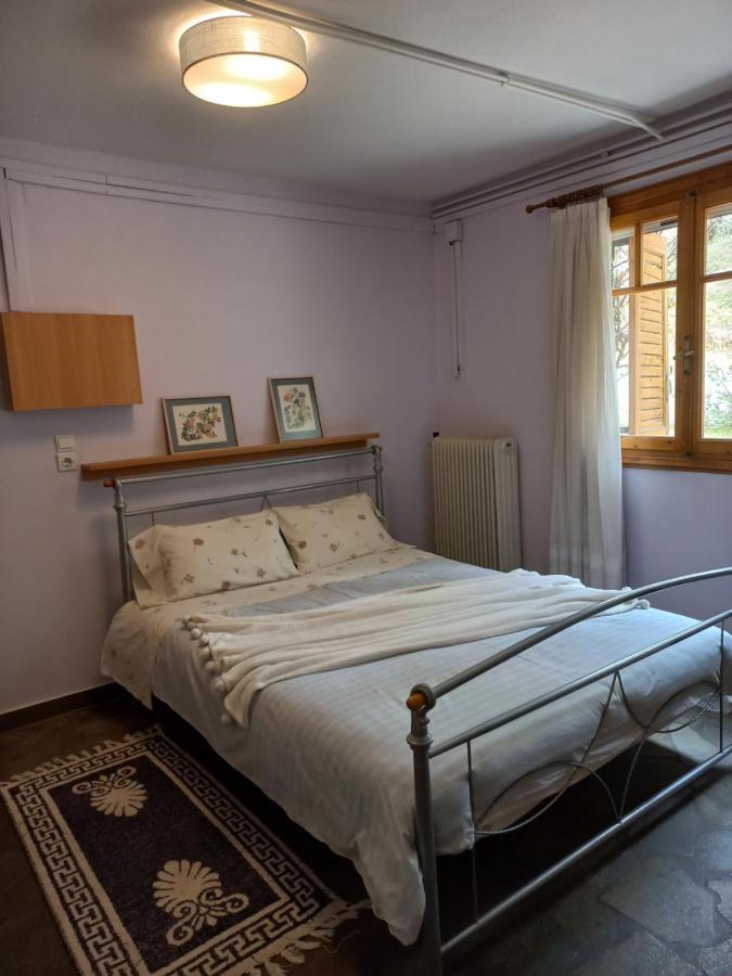 Σπίτι Σε Ελαιώνα, House In An Olive Grove Appartement Ária Buitenkant foto